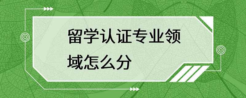 留学认证专业领域怎么分