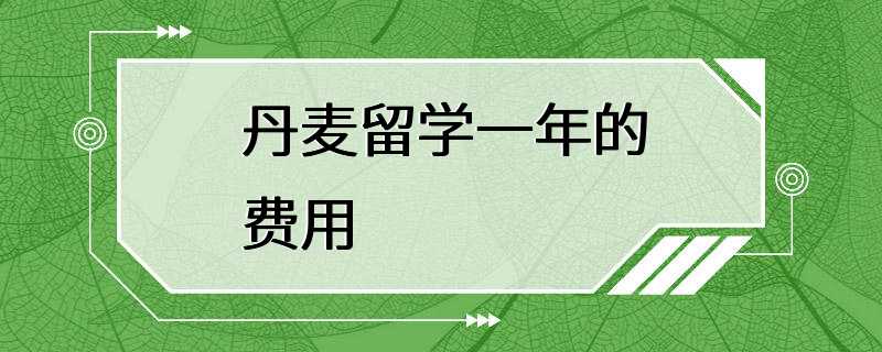 丹麦留学一年的费用