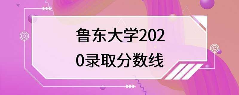 鲁东大学2020录取分数线