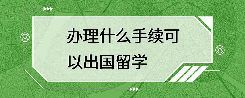 办理什么手续可以出国留学