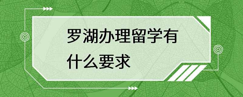 罗湖办理留学有什么要求