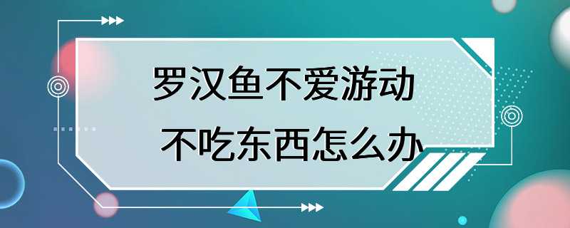 罗汉鱼不爱游动 不吃东西怎么办