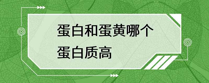 蛋白和蛋黄哪个蛋白质高