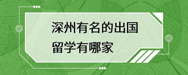 深州有名的出国留学有哪家