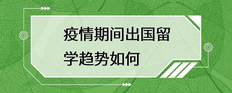 疫情期间出国留学趋势如何