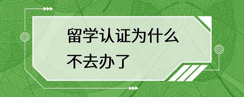 留学认证为什么不去办了