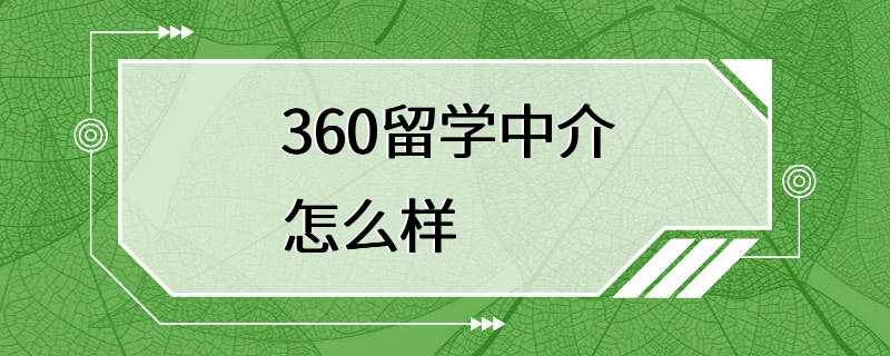 360留学中介怎么样