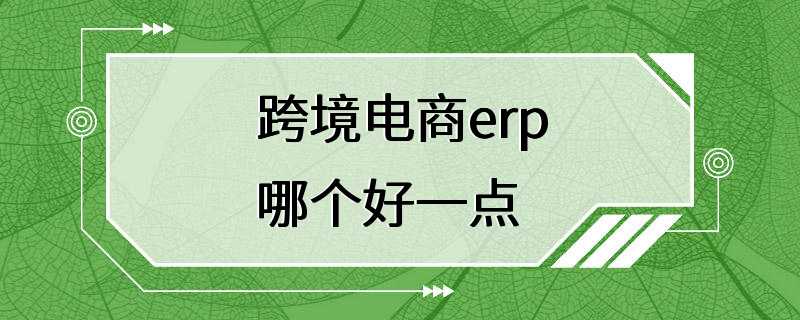 跨境电商erp哪个好一点