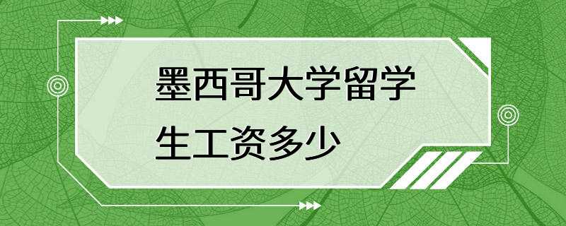 墨西哥大学留学生工资多少