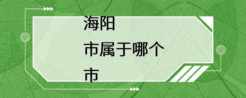 海阳市属于哪个市