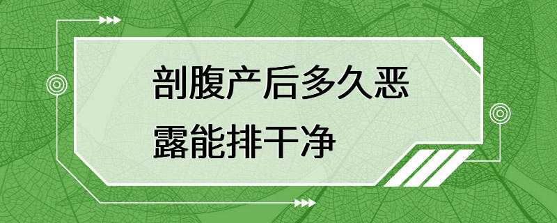 剖腹产后多久恶露能排干净