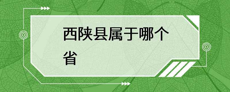 西陕县属于哪个省