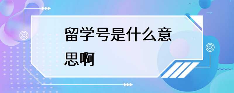 留学号是什么意思啊