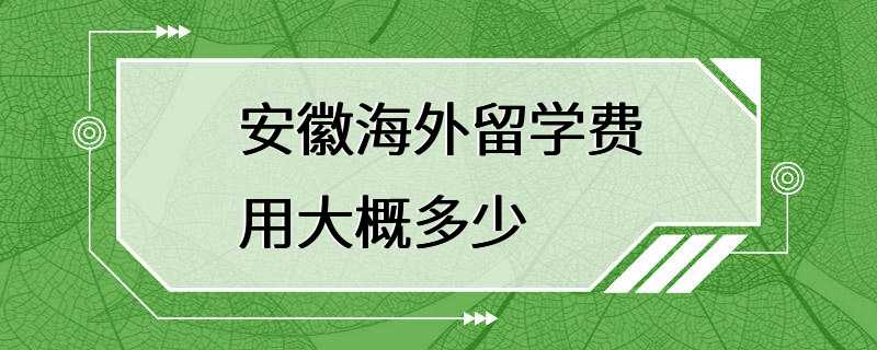 安徽海外留学费用大概多少