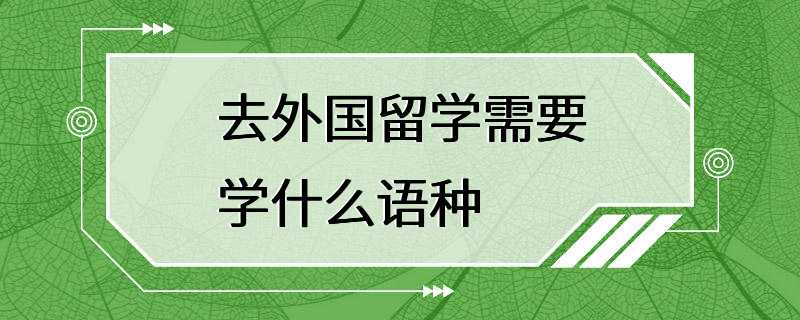 去外国留学需要学什么语种