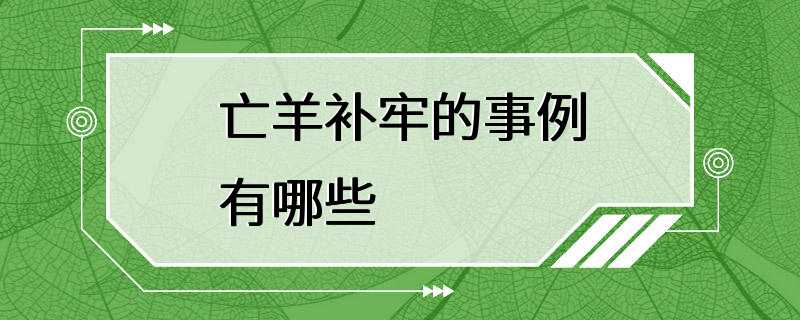 亡羊补牢的事例有哪些