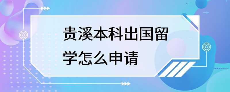 贵溪本科出国留学怎么申请