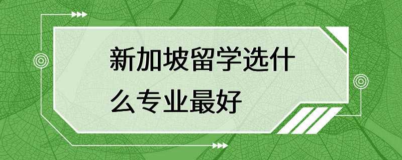 新加坡留学选什么专业最好