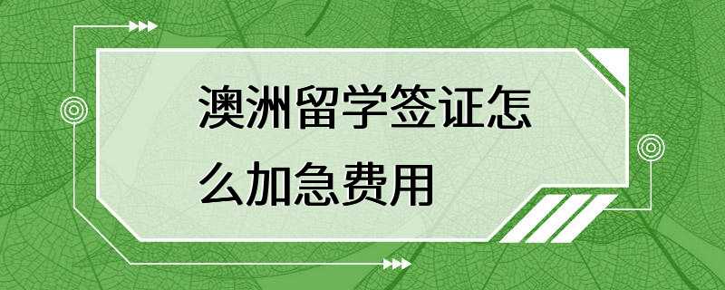 澳洲留学签证怎么加急费用