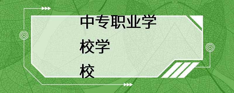 中专职业学校学校