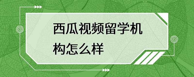 西瓜视频留学机构怎么样