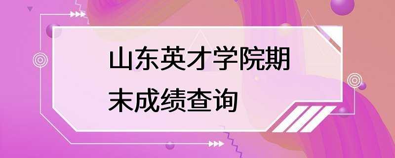 山东英才学院期末成绩查询