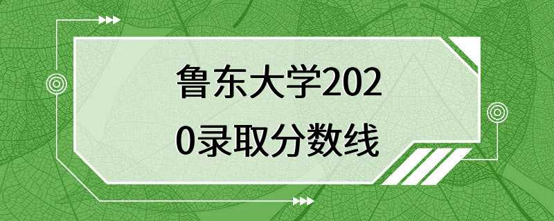 鲁东大学2020录取分数线