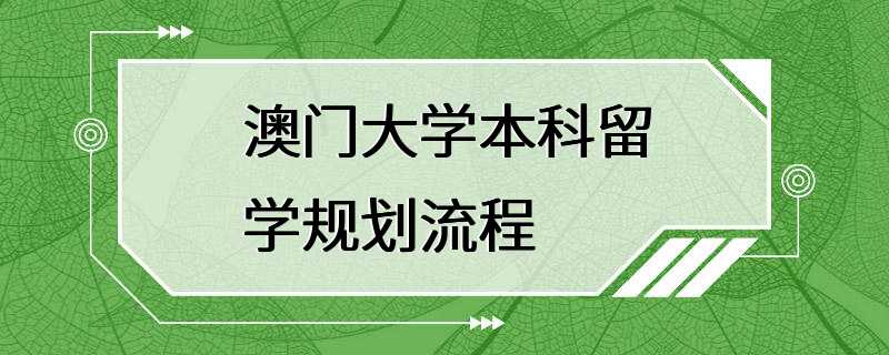 澳门大学本科留学规划流程