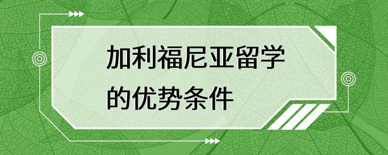 加利福尼亚留学的优势条件