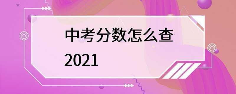 中考分数怎么查2021