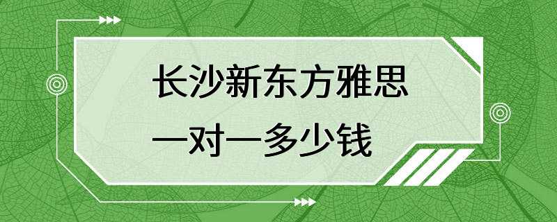 长沙新东方雅思一对一多少钱