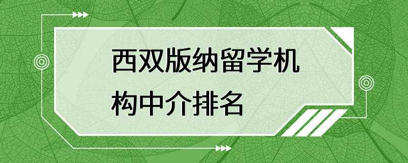 西双版纳留学机构中介排名