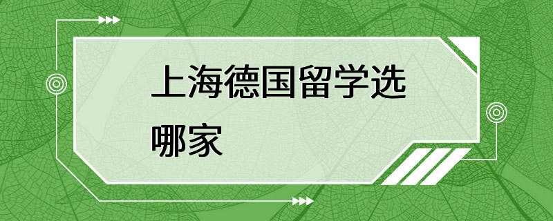 上海德国留学选哪家