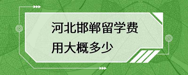 河北邯郸留学费用大概多少