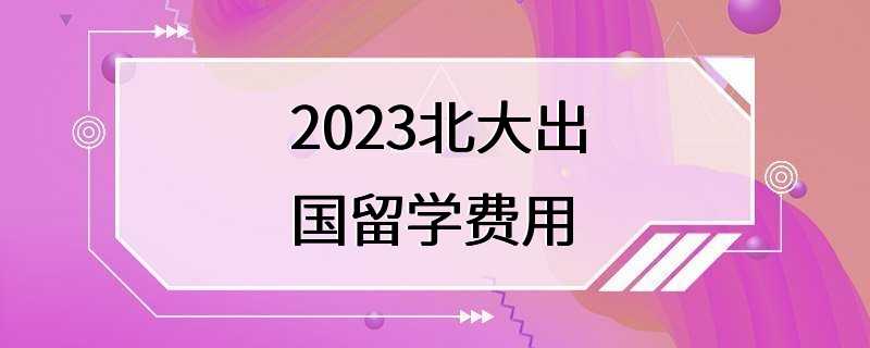 2023北大出国留学费用