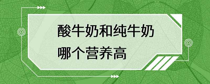 酸牛奶和纯牛奶哪个营养高