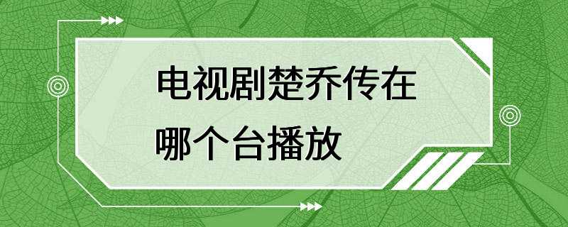 电视剧楚乔传在哪个台播放