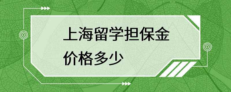 上海留学担保金价格多少