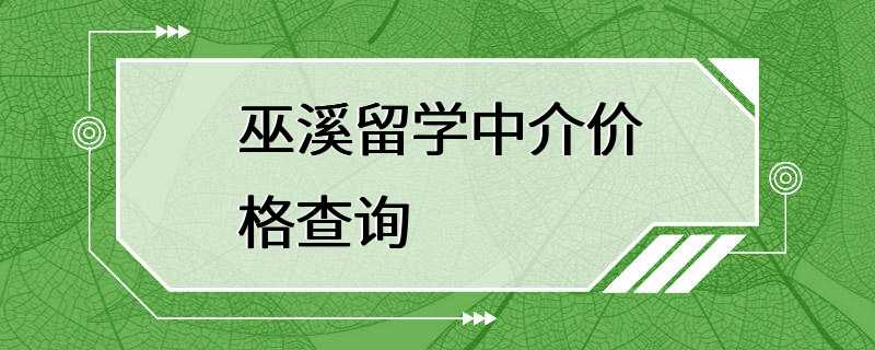 巫溪留学中介价格查询