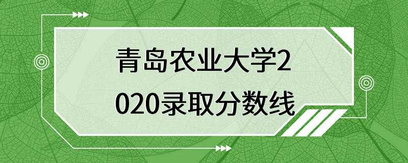 青岛农业大学2020录取分数线