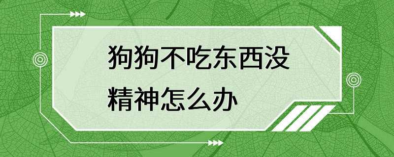 狗狗不吃东西没精神怎么办