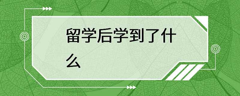 留学后学到了什么