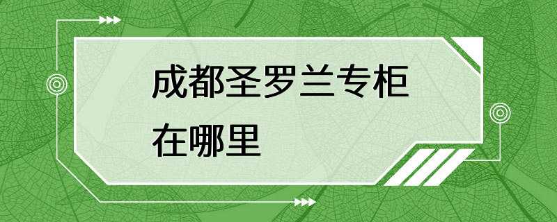 成都圣罗兰专柜在哪里