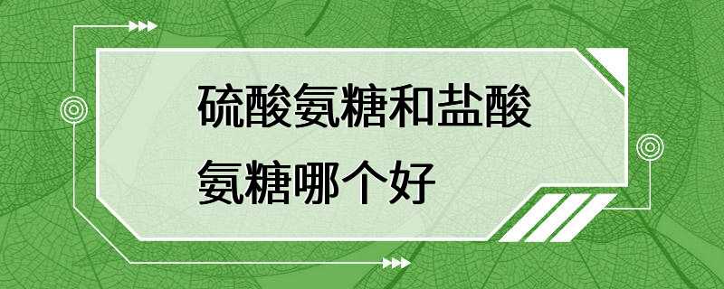 硫酸氨糖和盐酸氨糖哪个好