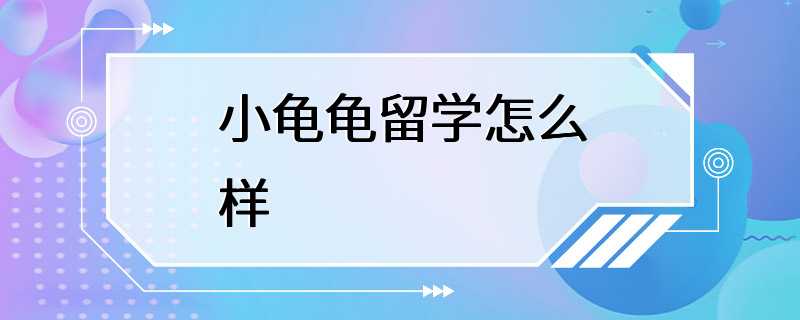 小龟龟留学怎么样