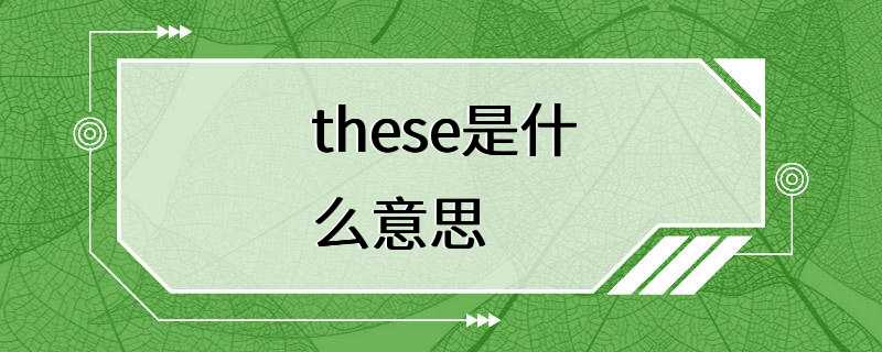 these是什么意思