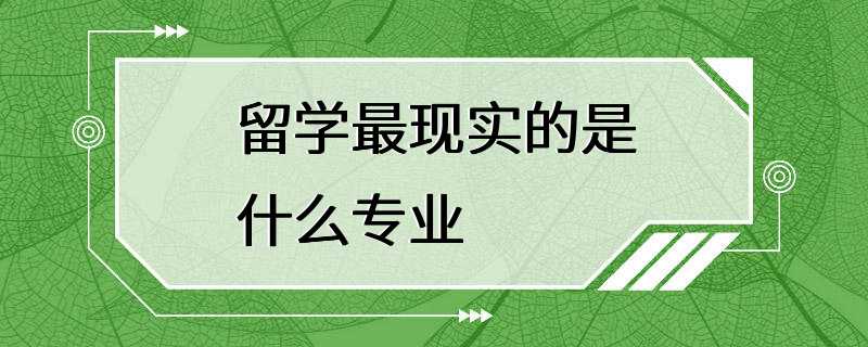 留学最现实的是什么专业