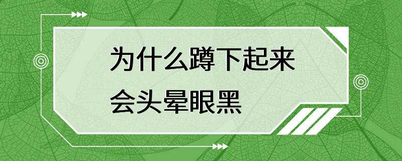 为什么蹲下起来会头晕眼黑