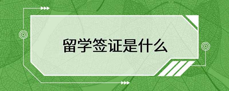 留学签证是什么