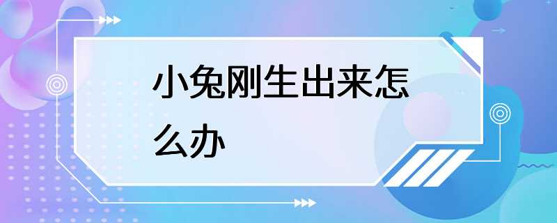 小兔刚生出来怎么办